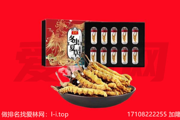 山城区回收虫草.jpg